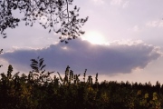 20190928_160806