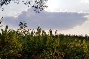 20190928_161100
